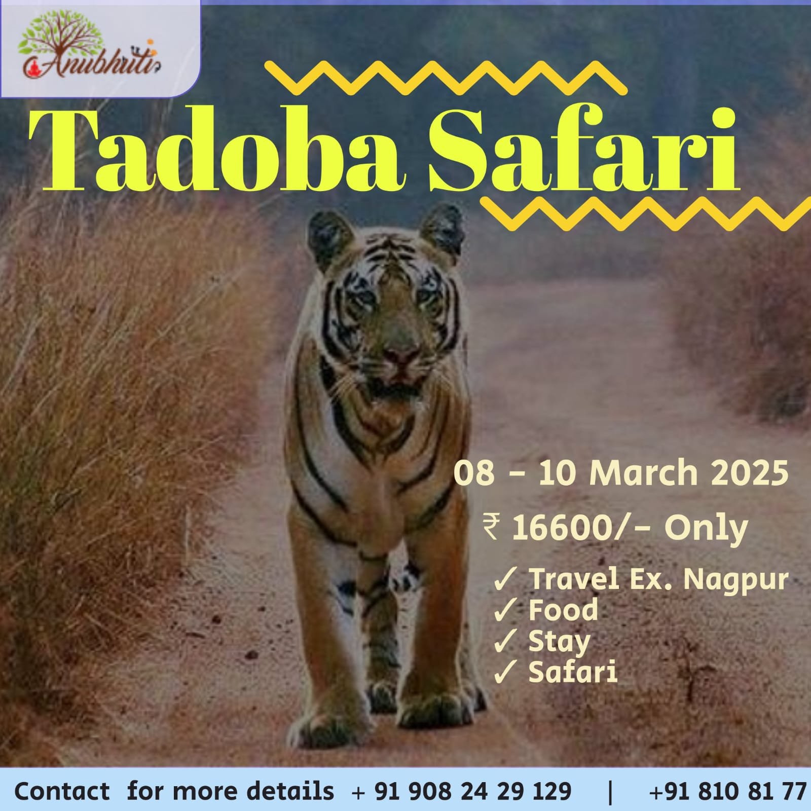 Tadoba - The Tigers Hotspot